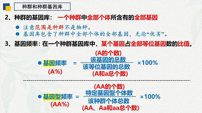 6.3 种群基因组成的变化（第1课时）-2024-2025学年高一生物下学期同步课件（人教版2019必修2）04