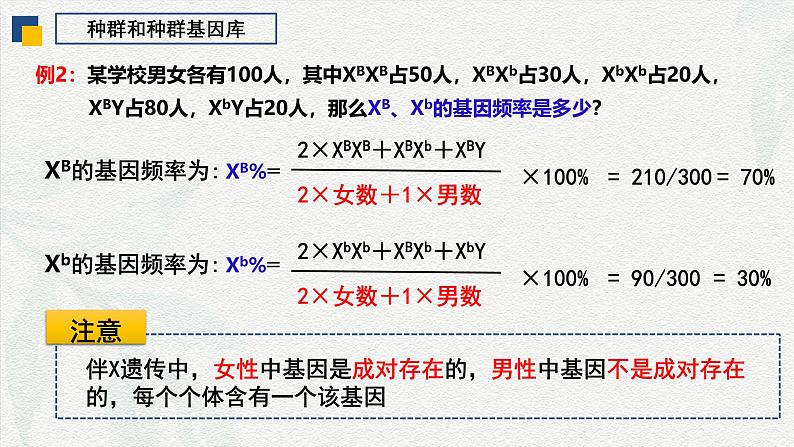 6.3 种群基因组成的变化（第1课时）-2024-2025学年高一生物下学期同步课件（人教版2019必修2）06