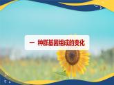 6.3 种群基因组成的变化与物种的形成-2024-2025学年高一生物同步备课课件（人教版2019必修2）
