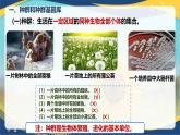 6.3 种群基因组成的变化与物种的形成-2024-2025学年高一生物同步备课课件（人教版2019必修2）