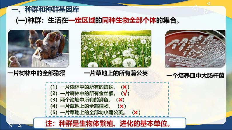 6.3 种群基因组成的变化与物种的形成-2024-2025学年高一生物同步备课课件（人教版2019必修2）第4页