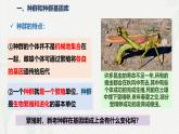 6.3 种群基因组成的变化与物种的形成-2024-2025学年高一生物同步备课课件（人教版2019必修2）