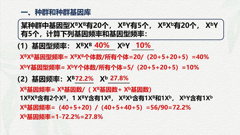 6.3 种群基因组成的变化与物种的形成-2024-2025学年高一生物同步备课课件（人教版2019必修2）第8页