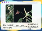 6.4 协同进化与生物多样性的形成-2024-2025学年高一生物同步课件（人教版2019必修2） (2)