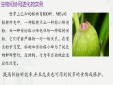 6.4 协同进化与生物多样性的形成-2024-2025学年高一生物同步课件（人教版2019必修2） (2)