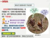 6.4 协同进化与生物多样性的形成-2024-2025学年高一生物同步课件（人教版2019必修2）