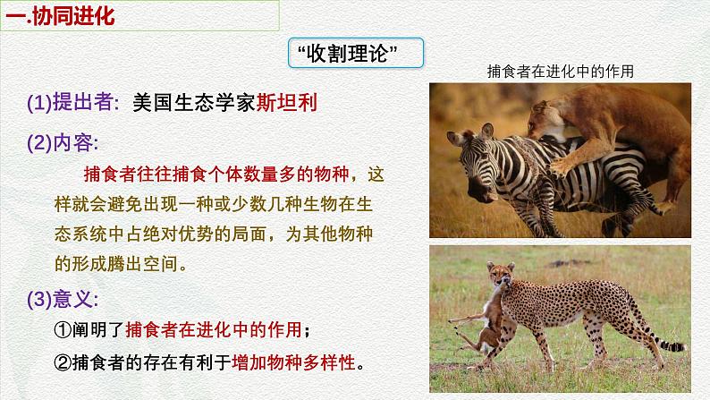 6.4 协同进化与生物多样性的形成-2024-2025学年高一生物同步课件（人教版2019必修2）03