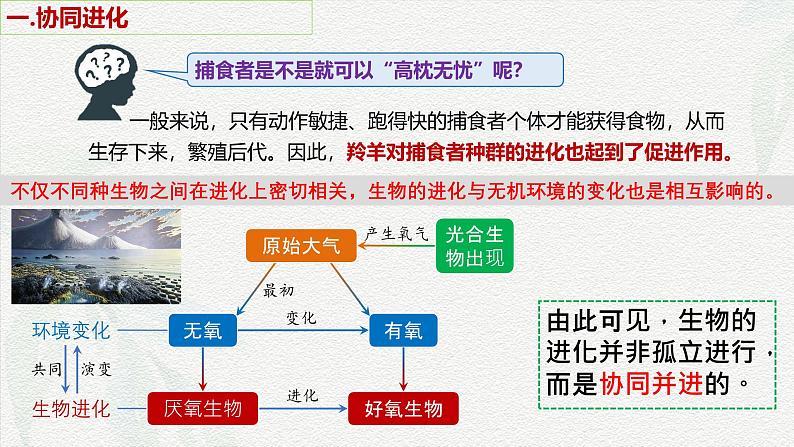 6.4 协同进化与生物多样性的形成-2024-2025学年高一生物同步课件（人教版2019必修2）04