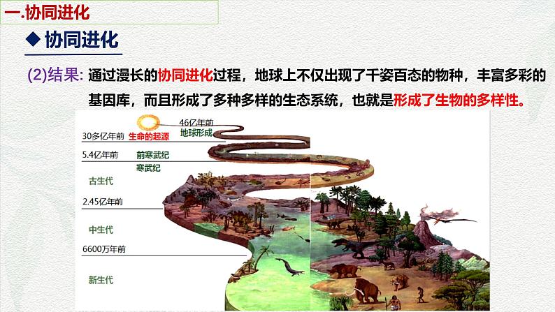 6.4 协同进化与生物多样性的形成-2024-2025学年高一生物同步课件（人教版2019必修2）06