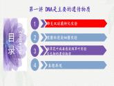 第一讲 DNA是主要的遗传物质--2025届高三生物一轮复习课件
