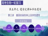 第三讲 基因在染色体上及伴性遗传--2025届高三生物一轮复习课件