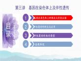 第三讲 基因在染色体上及伴性遗传--2025届高三生物一轮复习课件