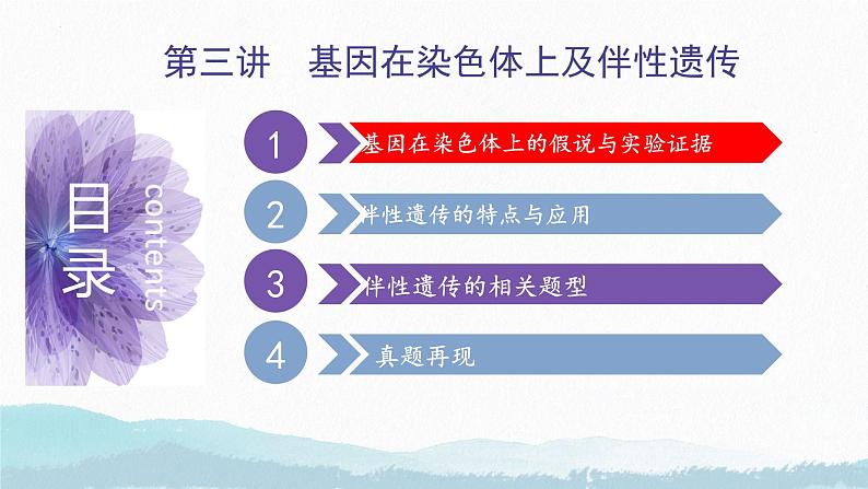 第三讲 基因在染色体上及伴性遗传--2025届高三生物一轮复习课件第5页