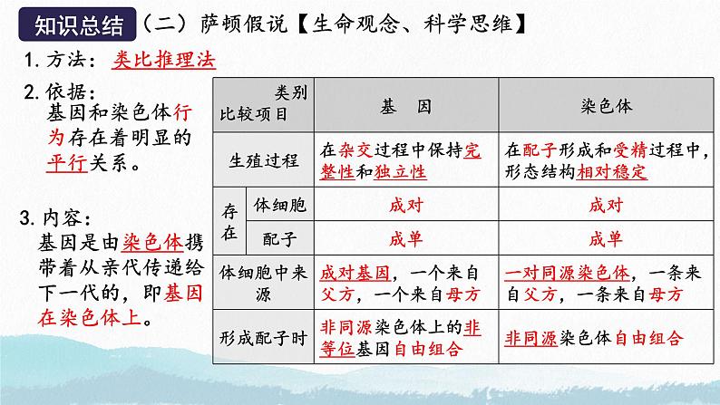 第三讲 基因在染色体上及伴性遗传--2025届高三生物一轮复习课件第7页