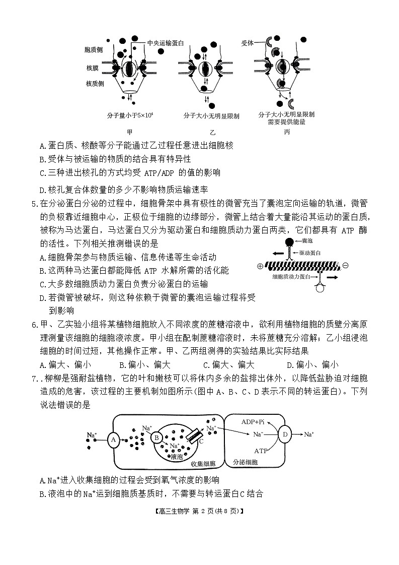 河北省保定市部分高中2024-2025学年高三上学期9月月考生物试题02