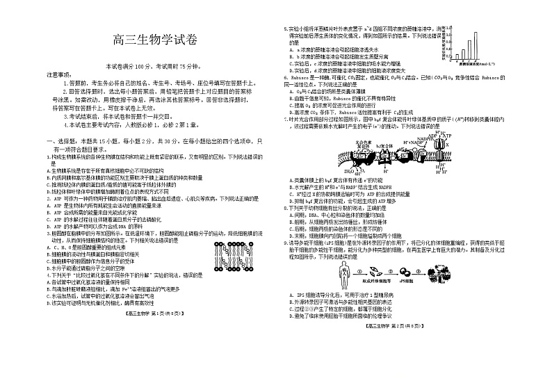 内蒙古自治区赤峰市红山区赤峰部分学校联考2024-2025学年高三上学期9月月考生物试题01