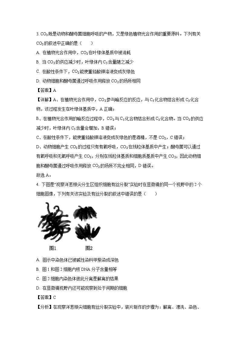 [生物]安徽省绩溪中学2024-2025学年高二上学期开学考试试题(解析版)03