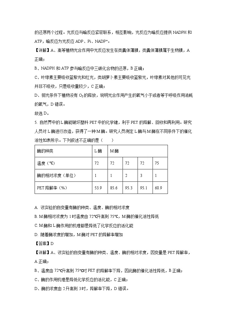 [生物]安徽省阜阳市阜南县王店孜乡亲情学校2024-2025学年高二上学期开学考试试卷(解析版)03