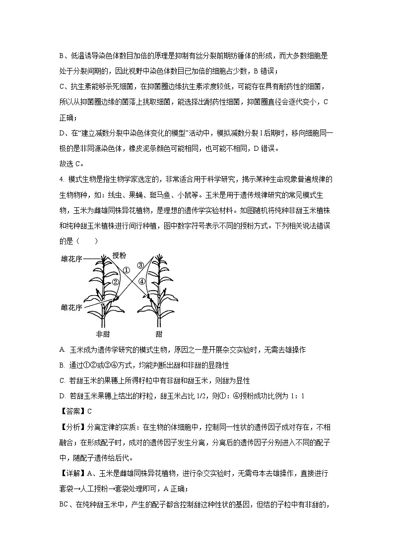 [生物]湖北省鄂东南联考2024-2025学年高二上学期开学试题(解析版)第3页