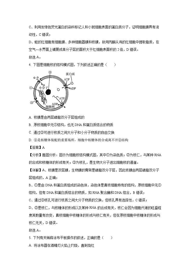 [生物][期末]吉林省普通高中G6教考联盟2023-2024学年高二下学期期末考试试卷(解析版)(1)第3页
