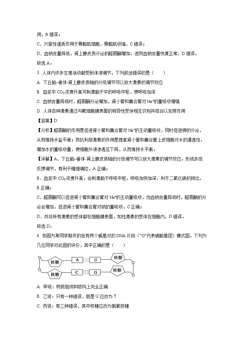 [生物][期末]河南省信阳市商城县上石桥高中联考2023-2024学年高二下学期7月期末试题(解析版)(1)02