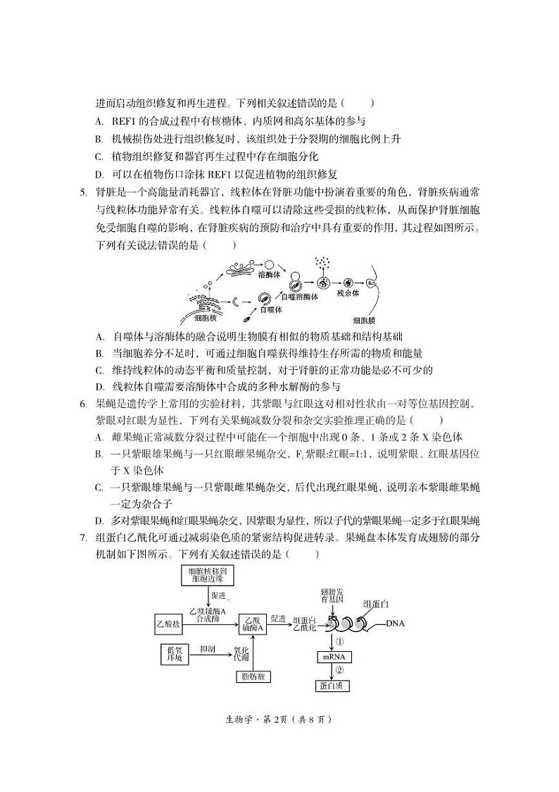四川省巴中市普通高中2024-2025学年高三上学期9月零诊考试生物试卷（PDF版附答案）02