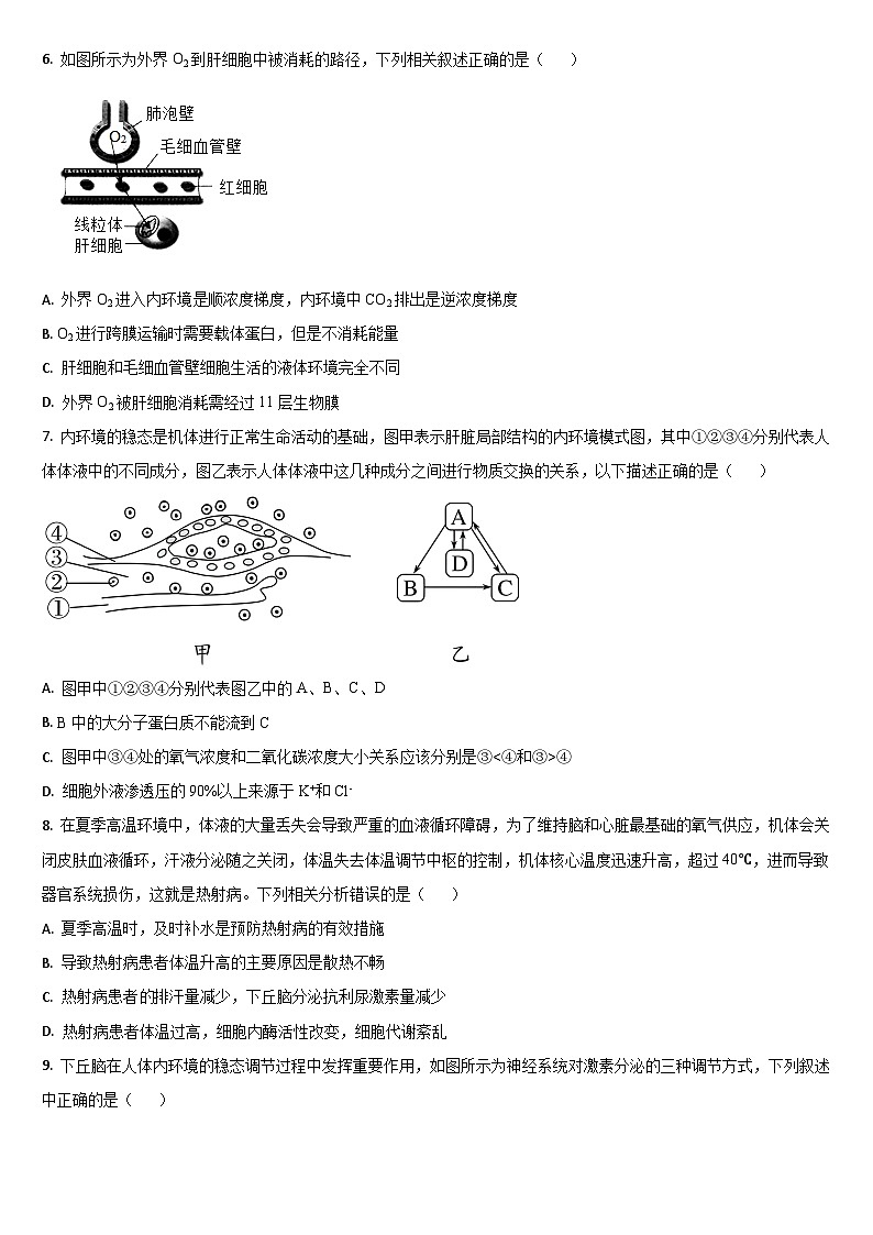 吉林省梅河口市第五中学2024-2025学年高二上学期9月月考生物试卷（Word版附答案）第2页