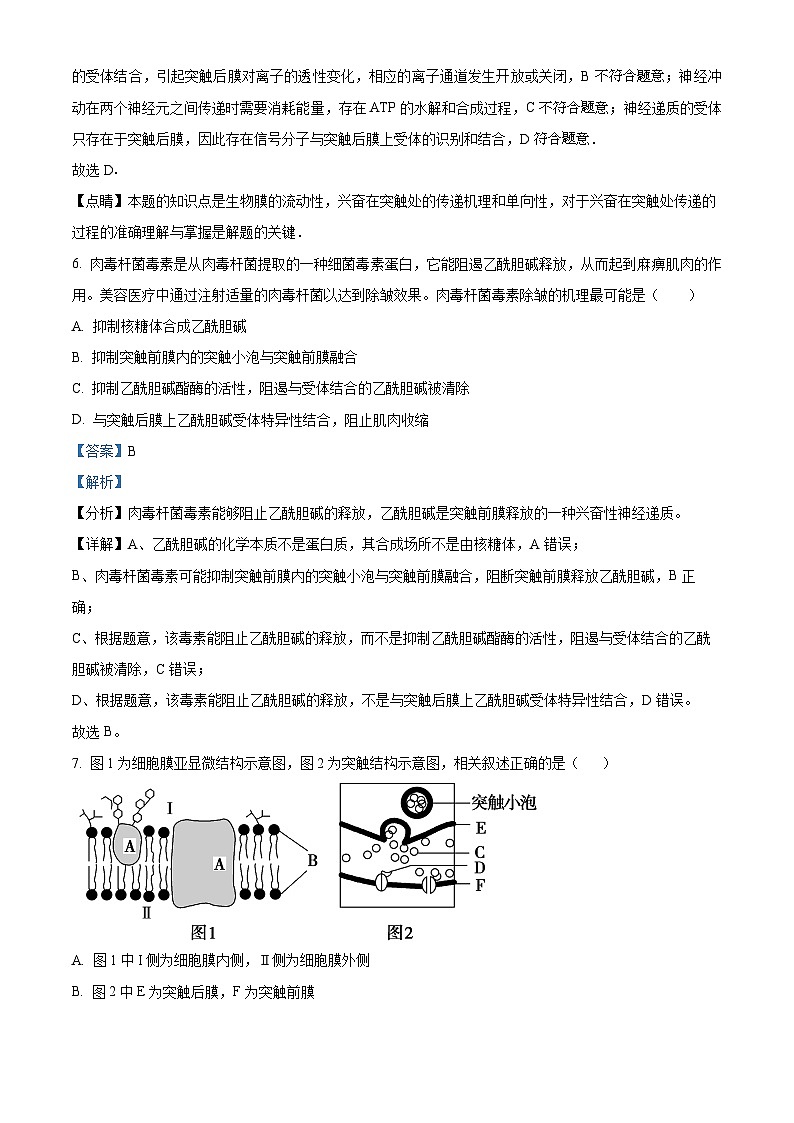 北京市海淀区清华志清中学2023-2024学年高二上学期第一次月考生物试题  Word版含解析第3页