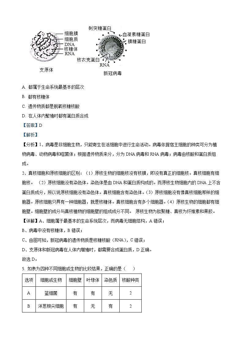 北京市八一学校2023-2024学年高一上学期10月月考生物试卷（Word版附解析）03