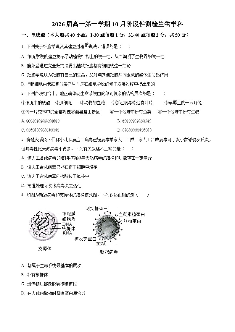 北京市八一学校2023-2024学年高一上学期10月月考生物试卷（Word版附解析）01
