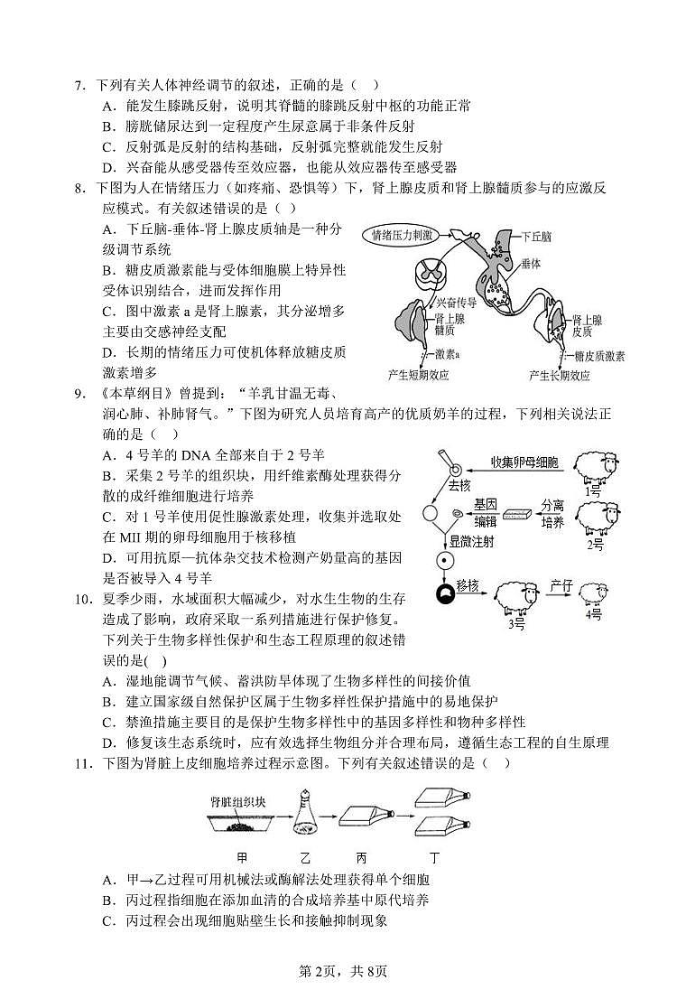 江苏省淮安市十校2024-2025学年高三上学期第一次联考生物试卷（PDF版附答案）第2页