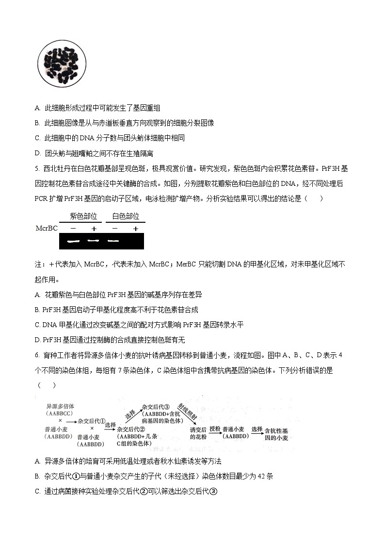 山西省长治市2024-2025学年高三上学期9月质量监测生物试卷（Word版附解析）第2页