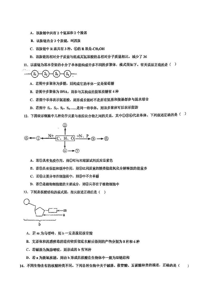 吉林市第四中学2024—2025学年高一上学期第一次月考生物试题第3页