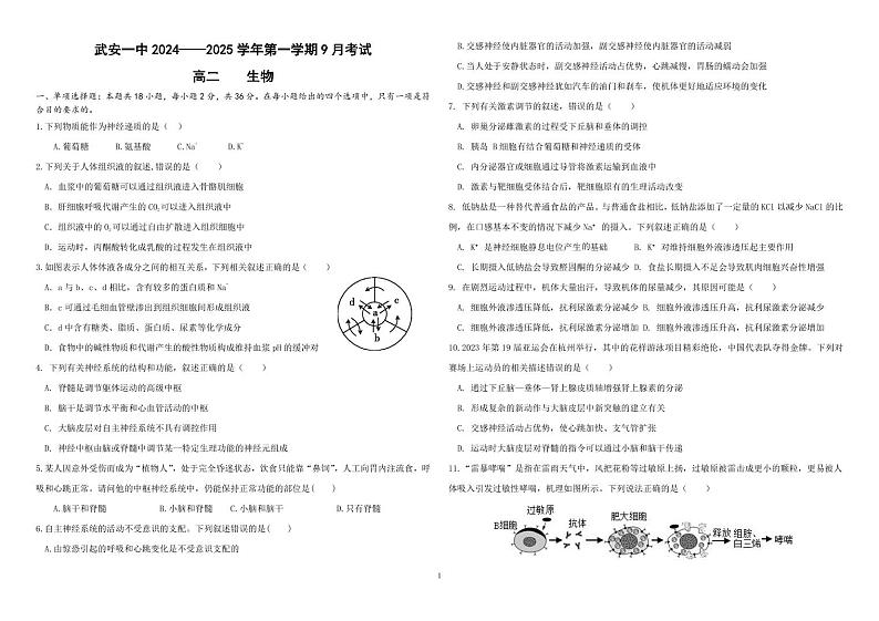 河北省邯郸市武安市第一中学2024-2025学年高二上学期9月月考生物试卷01