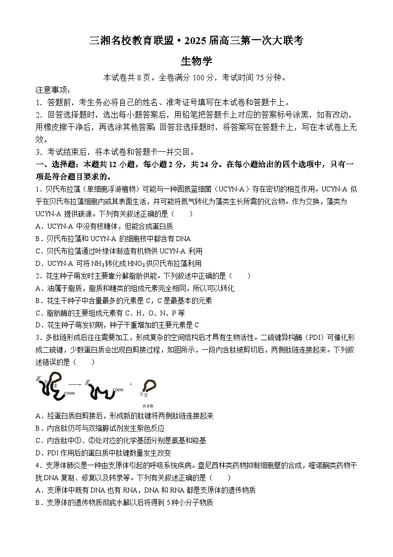 湖南省娄底市涟源市部分学校2024-2025学年高一上学期9月月考生物试题01