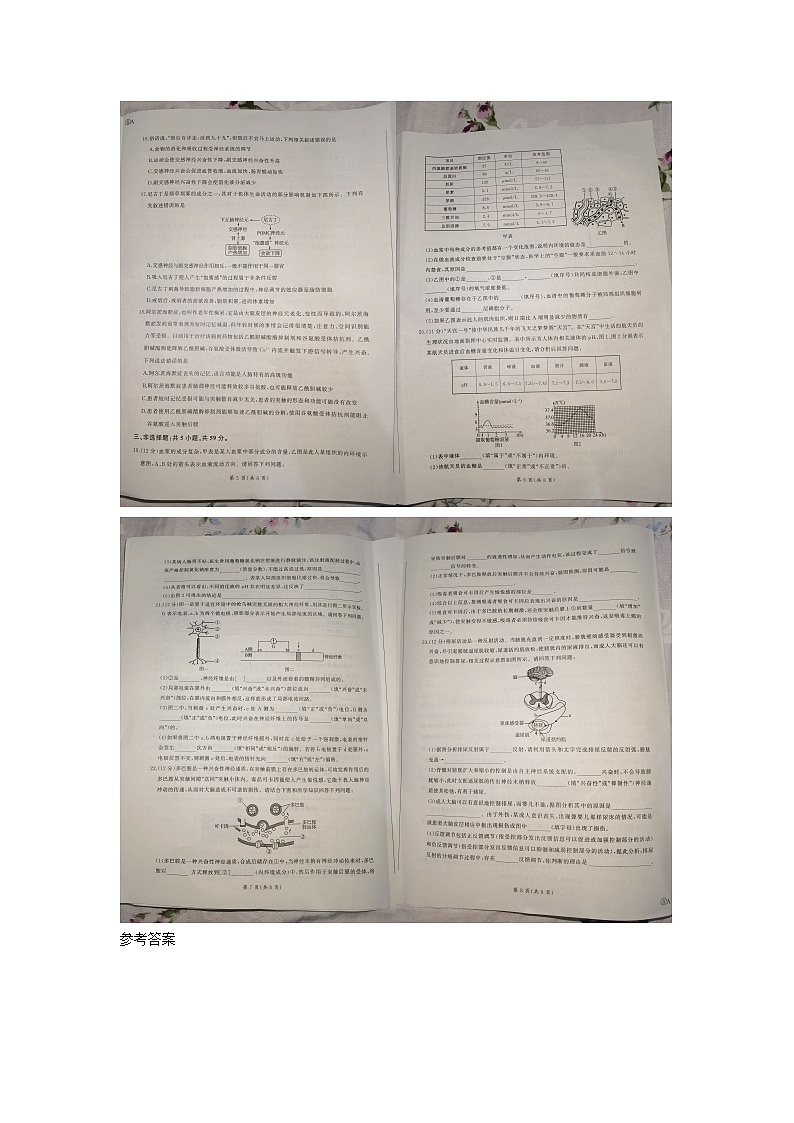 河南省周口市商水县百师联盟2024-2025学年高二上学期9月月考生物试题02