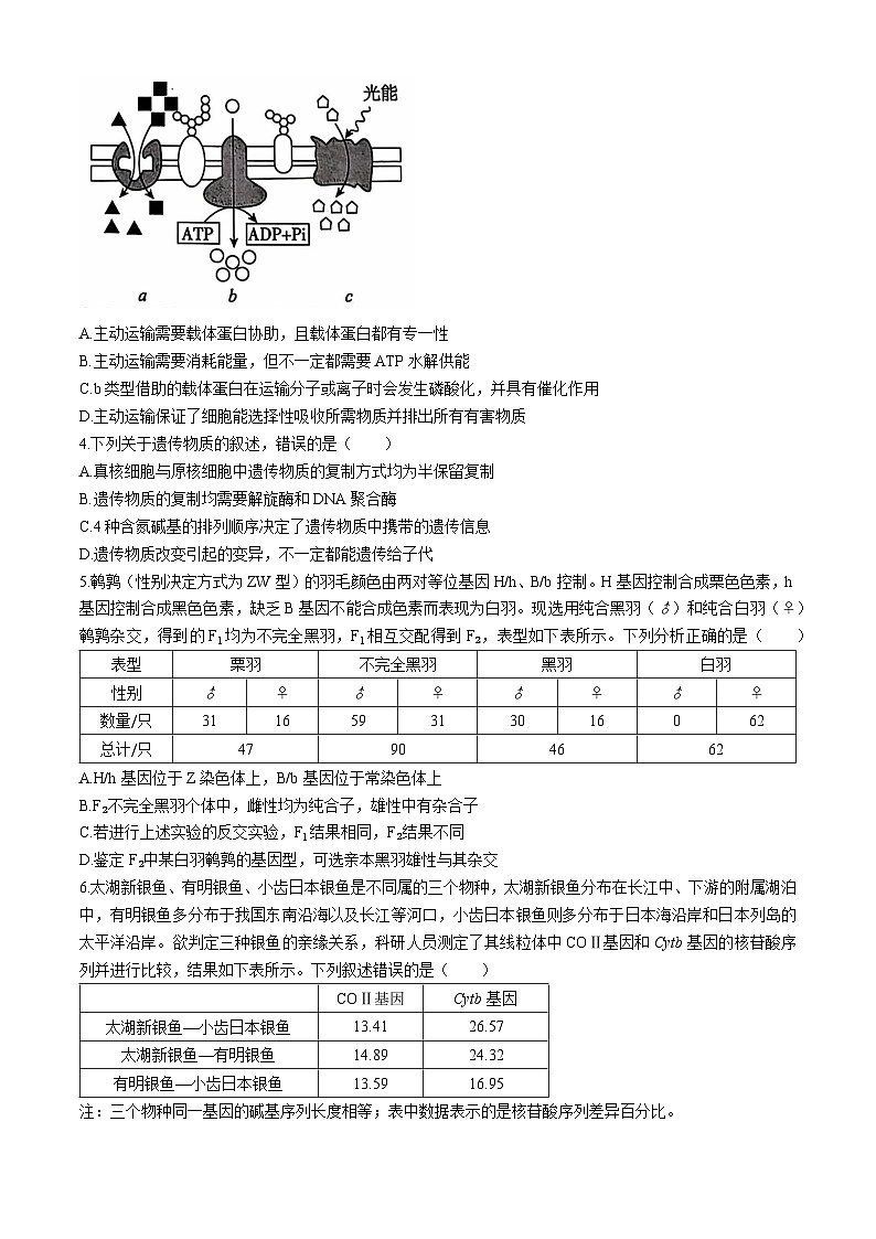 河北省沧州市泊头市第一中学2024-2025学年高三上学期9月月考生物试题第2页