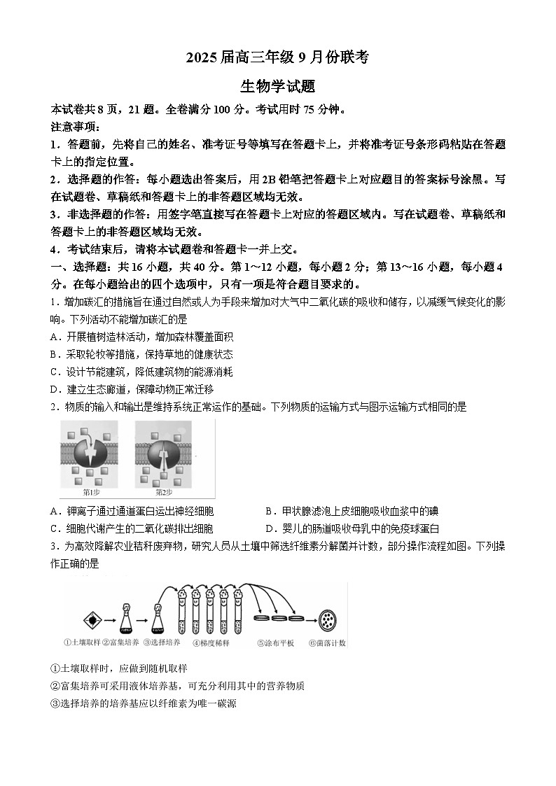 广东省高三联考（衡水金卷）2024-2025学年高三上学期9月月考生物试题01