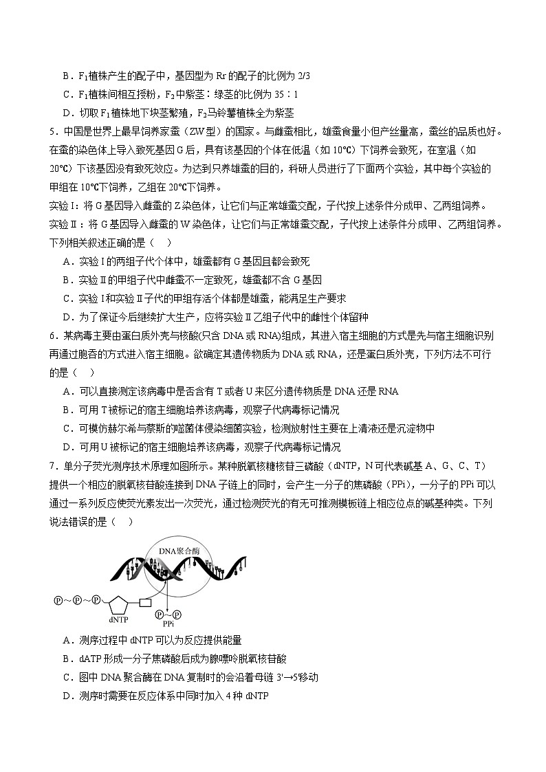 期末综合测试卷02- 2024-2025学年高一生物章末复习考点梳理+测试卷（人教版2019必修2）02