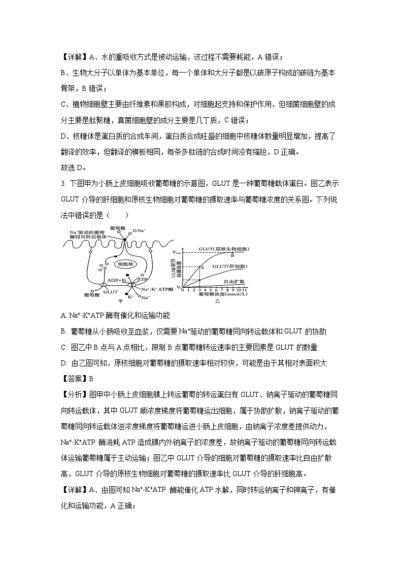 【生物】江苏省扬州市2024-2025学年高三上学期开学考试（解析版）02
