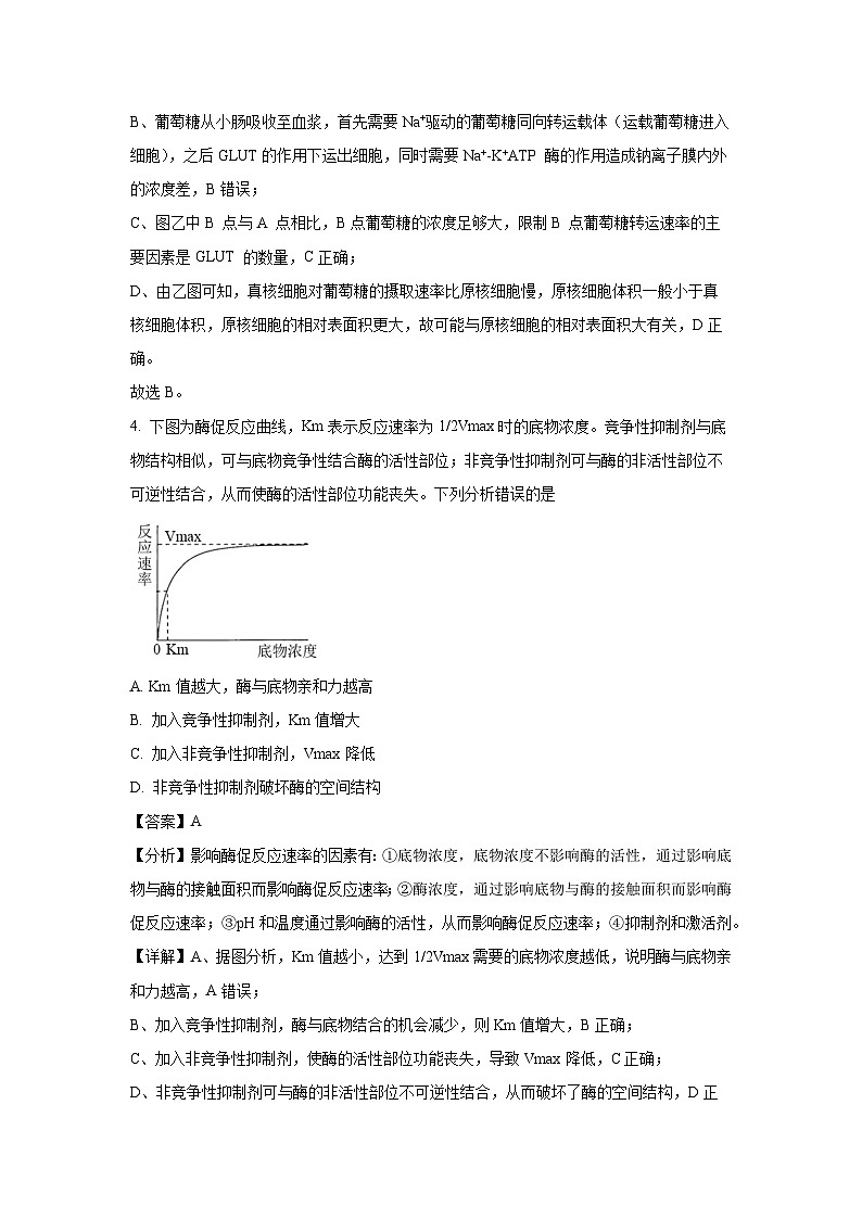 【生物】江苏省扬州市2024-2025学年高三上学期开学考试（解析版）03