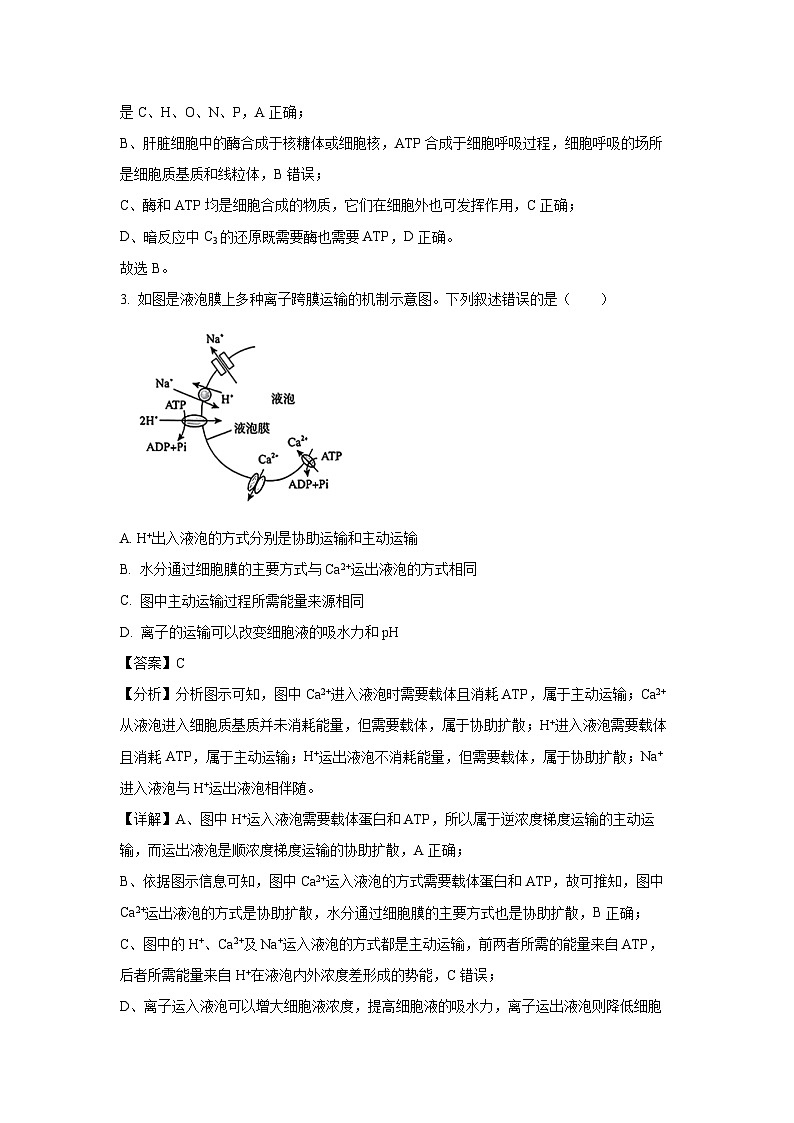 【生物】河南省部分学校2024-2025学年高三上学期9月质量检测（解析版）第2页