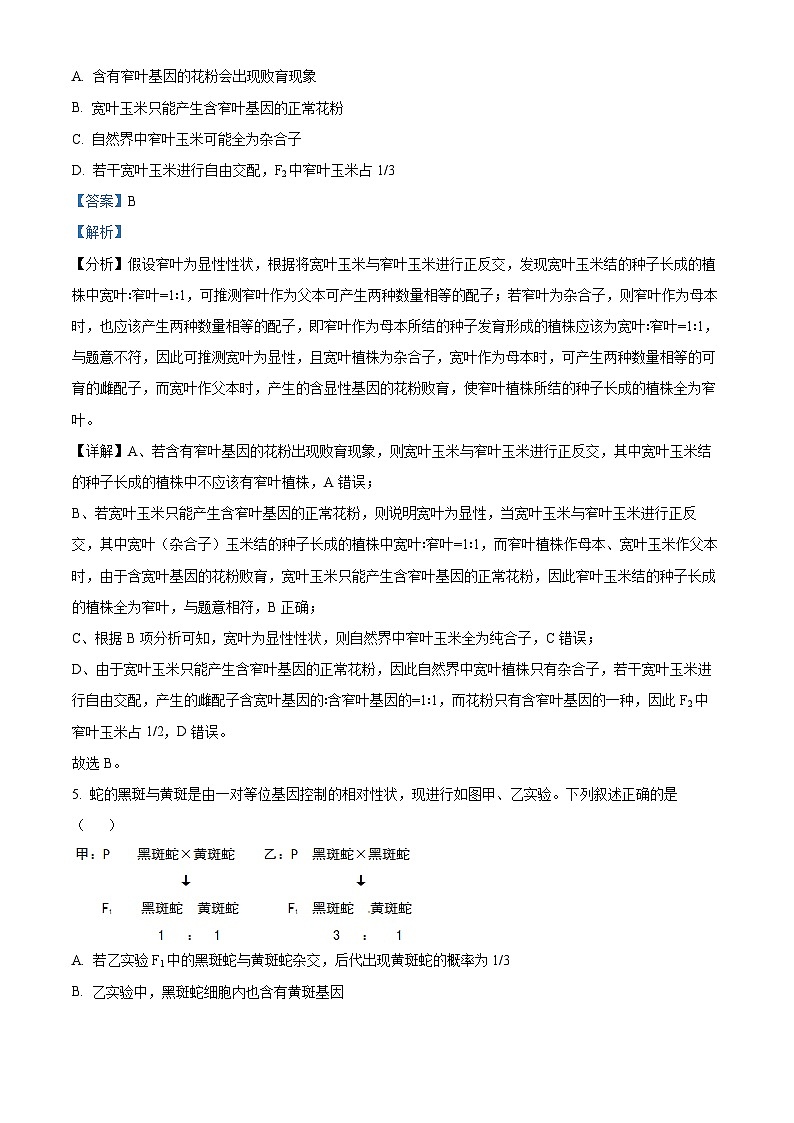 2024-2025学年高一下学期期中考试生物试题（解析版）第3页