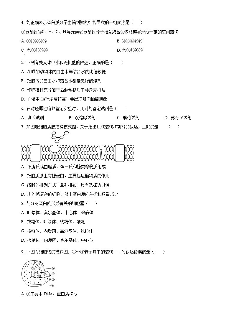 广东省珠海市斗门区和风中学2024-2025学年高一下学期期中生物试卷（原卷版）第2页