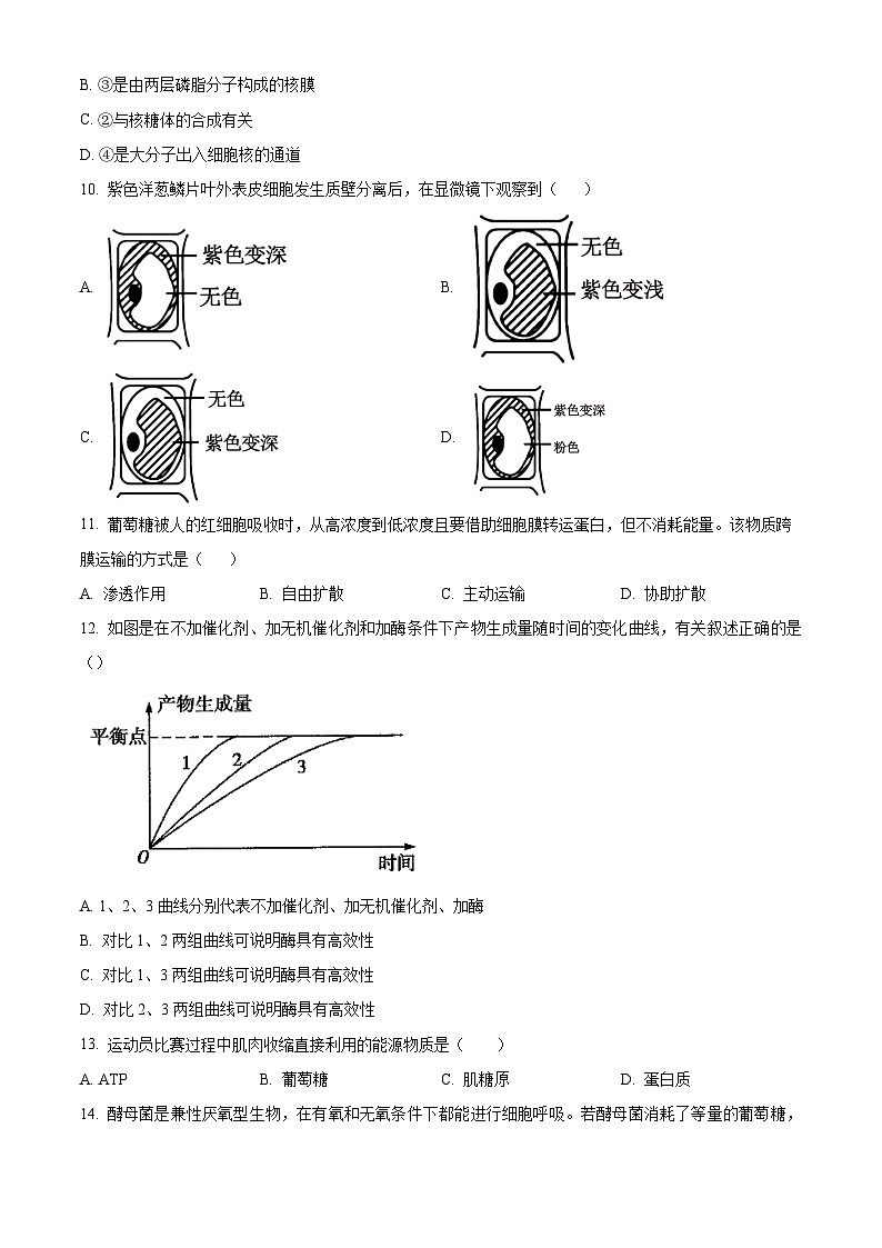 广东省珠海市斗门区和风中学2024-2025学年高一下学期期中生物试卷（原卷版）第3页