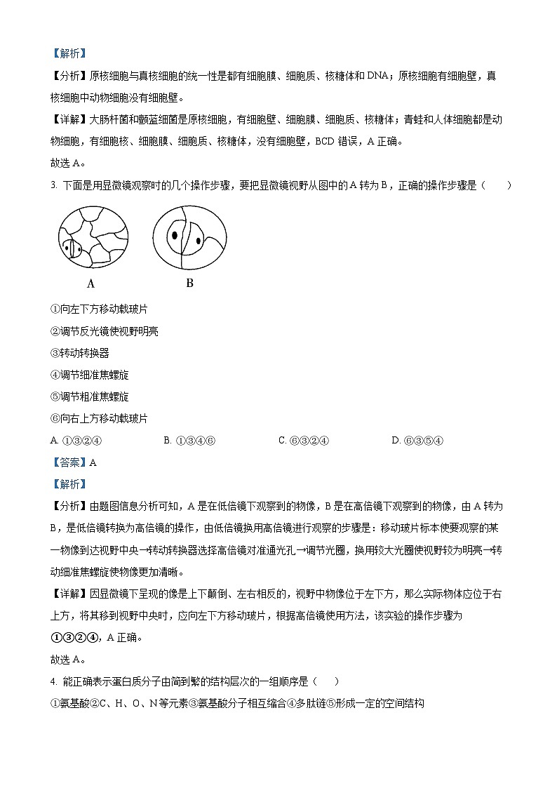 广东省珠海市斗门区和风中学2024-2025学年高一下学期期中生物试卷（解析版）第2页