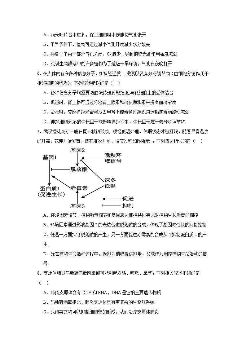 湖北省武汉市江汉区2024-2025学年高三上学新起点摸底考试生物试题02