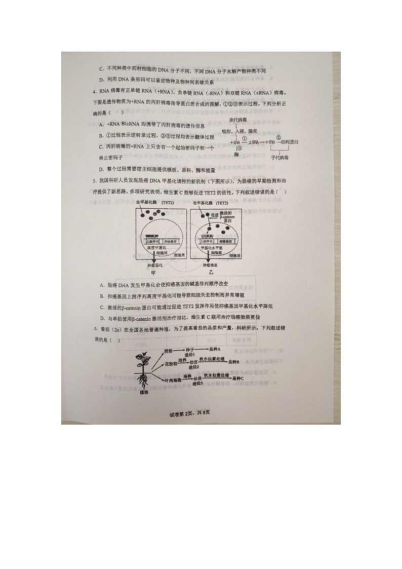 江西省景德镇市乐平市乐平中学2024-2025学年高二上学期9月月考生物试题第2页