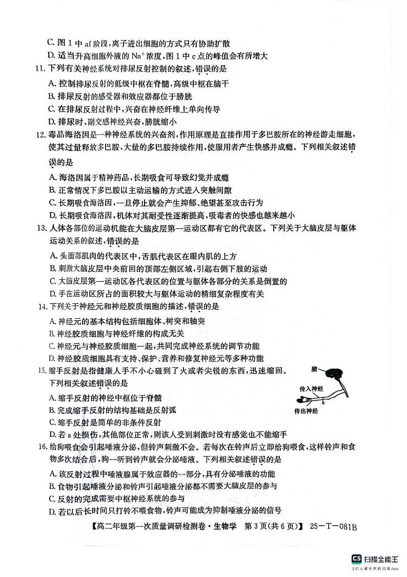 陕西省榆林市府谷县府谷中学、府谷一中2024-2025学年高二上学期9月月考生物试题03