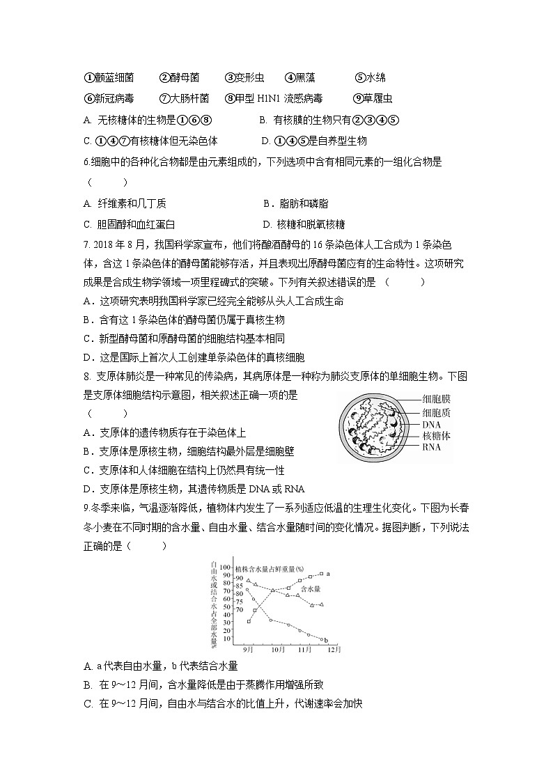 云南省玉溪市一中2022-2023学年高一上学期期中考试生物试题 Word版含答案第2页